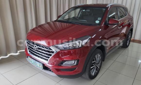 Acheter Occasion Voiture Hyundai Tucson Rouge à Beitbridge, Matabeleland South Acheter Occasion Voiture Hyundai Tucson Rouge à Beitbridge, Matabeleland South