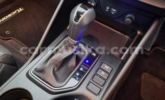 Acheter Occasion Voiture Hyundai Tucson Rouge à Beitbridge, Matabeleland South Acheter Occasion Voiture Hyundai Tucson Rouge à Beitbridge, Matabeleland South