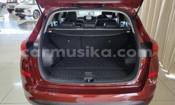 Acheter Occasion Voiture Hyundai Tucson Rouge à Beitbridge, Matabeleland South Acheter Occasion Voiture Hyundai Tucson Rouge à Beitbridge, Matabeleland South