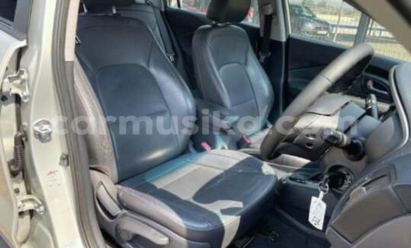 Buy Used Kia Rio Other Car in Beitbridge in Matabeleland South Buy Used Kia Rio Other Car in Beitbridge in Matabeleland South