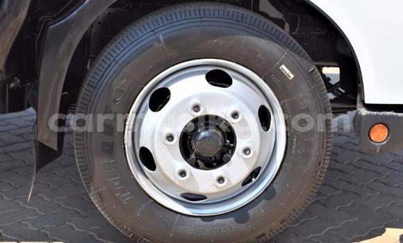 Acheter Occasion Utilitaire Hino 300 Series Blanc à Beitbridge, Matabeleland South Acheter Occasion Utilitaire Hino 300 Series Blanc à Beitbridge, Matabeleland South