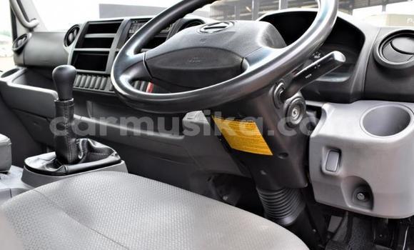 Tenga Tsaru Hino 300 Series Chena Rori in Beitbridge in Matabeleland South Tenga Tsaru Hino 300 Series Chena Rori in Beitbridge in Matabeleland South