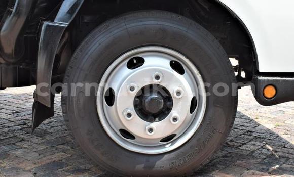 Tenga Tsaru Hino 300 Series Chena Rori in Beitbridge in Matabeleland South Tenga Tsaru Hino 300 Series Chena Rori in Beitbridge in Matabeleland South