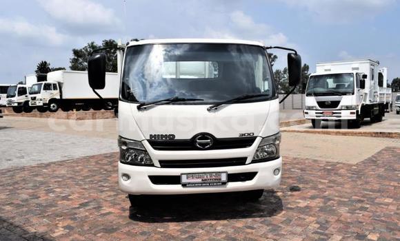 Tenga Tsaru Hino 300 Series Chena Rori in Beitbridge in Matabeleland South Tenga Tsaru Hino 300 Series Chena Rori in Beitbridge in Matabeleland South