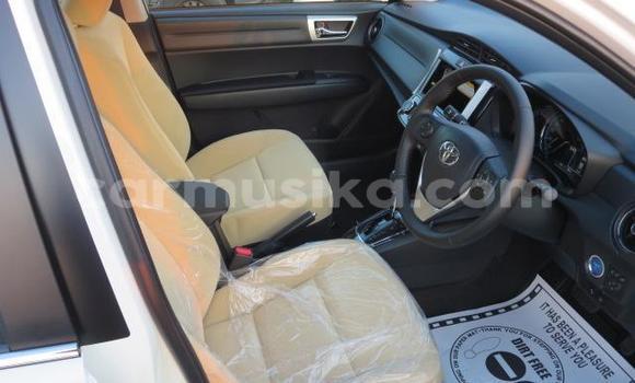 Acheter Import Voiture Toyota Axio Blanc à Beitbridge, Matabeleland South Acheter Import Voiture Toyota Axio Blanc à Beitbridge, Matabeleland South