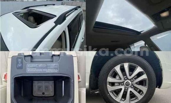 Acheter Import Voiture Toyota Land Cruiser Blanc à Beitbridge, Matabeleland South Acheter Import Voiture Toyota Land Cruiser Blanc à Beitbridge, Matabeleland South