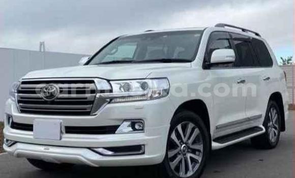 Acheter Import Voiture Toyota Land Cruiser Blanc à Beitbridge, Matabeleland South Acheter Import Voiture Toyota Land Cruiser Blanc à Beitbridge, Matabeleland South