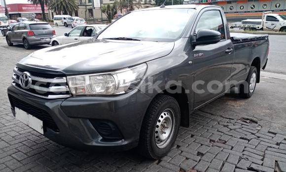 Acheter Occasion Voiture Toyota Hilux Gris à Beitbridge, Matabeleland South Acheter Occasion Voiture Toyota Hilux Gris à Beitbridge, Matabeleland South