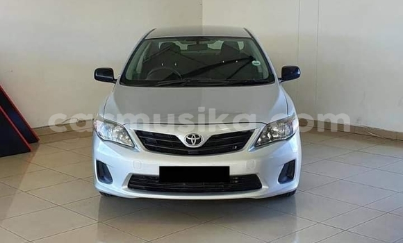 Acheter Occasion Voiture Toyota Corolla Gris à Beitbridge, Matabeleland South