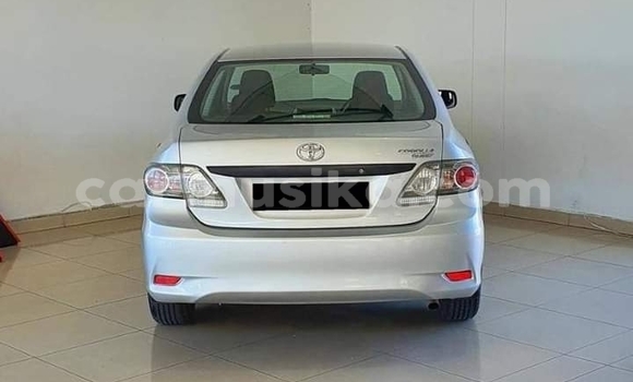 Acheter Occasion Voiture Toyota Corolla Gris à Beitbridge, Matabeleland South Acheter Occasion Voiture Toyota Corolla Gris à Beitbridge, Matabeleland South