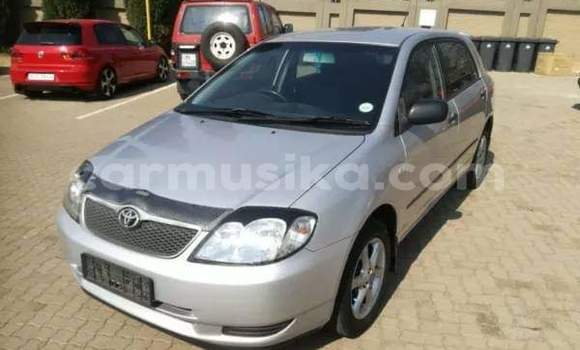 Buy Used Toyota Runx Silver Car in Beitbridge in Matabeleland South Buy Used Toyota Runx Silver Car in Beitbridge in Matabeleland South