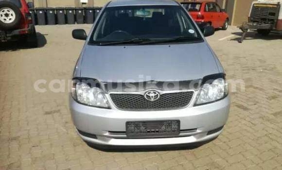 Acheter Occasion Voiture Toyota Runx Gris à Beitbridge, Matabeleland South Acheter Occasion Voiture Toyota Runx Gris à Beitbridge, Matabeleland South