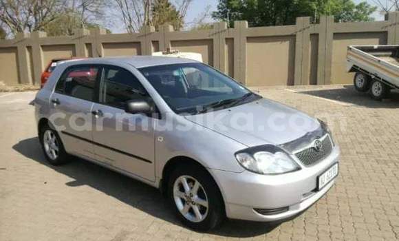 Acheter Occasion Voiture Toyota Runx Gris à Beitbridge, Matabeleland South Acheter Occasion Voiture Toyota Runx Gris à Beitbridge, Matabeleland South