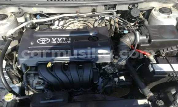 Acheter Occasion Voiture Toyota Runx Gris à Beitbridge, Matabeleland South Acheter Occasion Voiture Toyota Runx Gris à Beitbridge, Matabeleland South