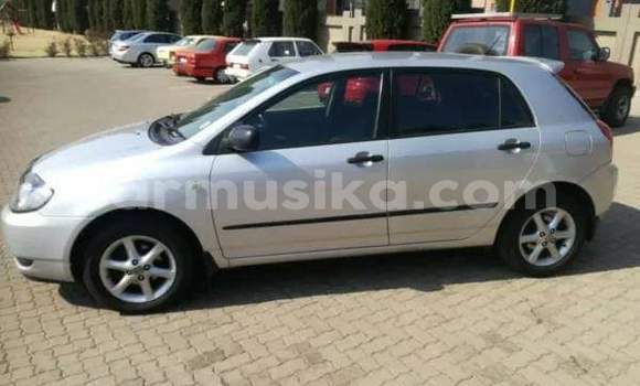 Acheter Occasion Voiture Toyota Runx Gris à Beitbridge, Matabeleland South Acheter Occasion Voiture Toyota Runx Gris à Beitbridge, Matabeleland South