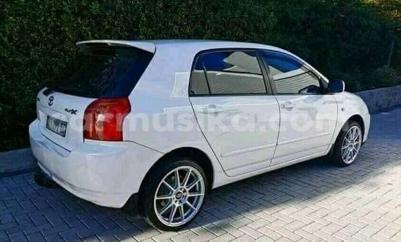 Buy Used Toyota Runx White Car in Beitbridge in Matabeleland South Buy Used Toyota Runx White Car in Beitbridge in Matabeleland South