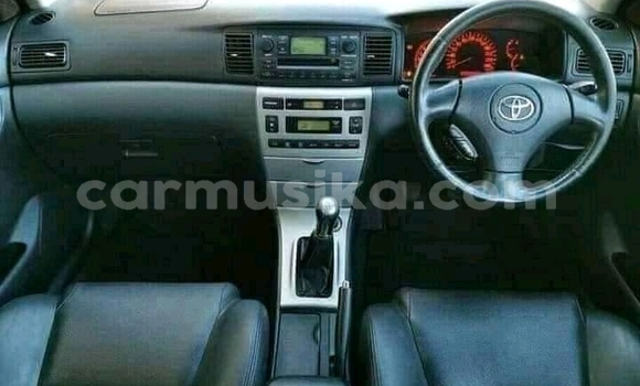 Buy Used Toyota Runx White Car in Beitbridge in Matabeleland South Buy Used Toyota Runx White Car in Beitbridge in Matabeleland South