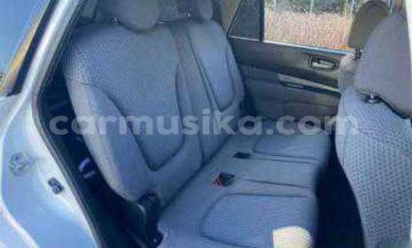 Tenga Tsaru Nissan Wingroad Chena Mota in Beitbridge in Matabeleland South Tenga Tsaru Nissan Wingroad Chena Mota in Beitbridge in Matabeleland South