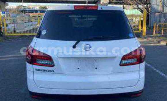 Tenga Tsaru Nissan Wingroad Chena Mota in Beitbridge in Matabeleland South Tenga Tsaru Nissan Wingroad Chena Mota in Beitbridge in Matabeleland South