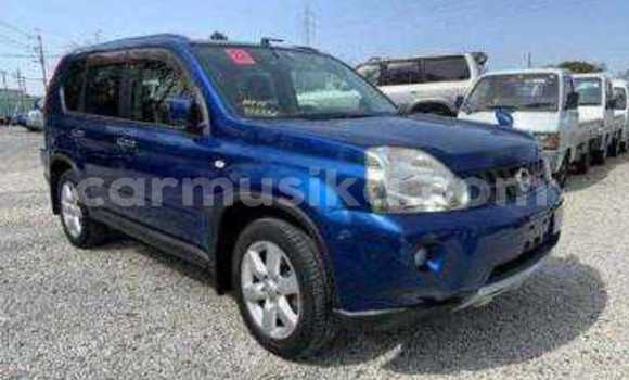 Tenga Tsaru Nissan X–Trail Sirivha Mota in Beitbridge in Matabeleland South