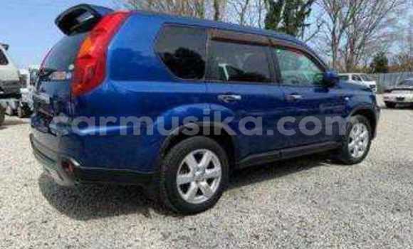 Tenga Tsaru Nissan X–Trail Sirivha Mota in Beitbridge in Matabeleland South Tenga Tsaru Nissan X–Trail Sirivha Mota in Beitbridge in Matabeleland South