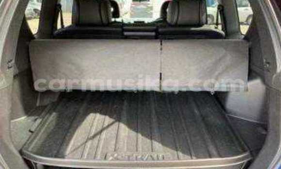 Tenga Tsaru Nissan X–Trail Sirivha Mota in Beitbridge in Matabeleland South Tenga Tsaru Nissan X–Trail Sirivha Mota in Beitbridge in Matabeleland South