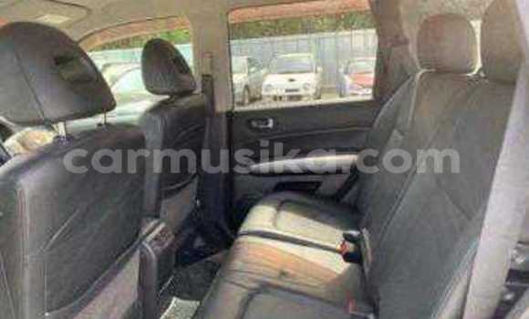 Tenga Tsaru Nissan X–Trail Sirivha Mota in Beitbridge in Matabeleland South Tenga Tsaru Nissan X–Trail Sirivha Mota in Beitbridge in Matabeleland South