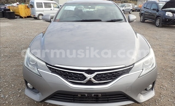 Acheter Occasion Voiture Toyota Mark X Gris à Beitbridge, Matabeleland South