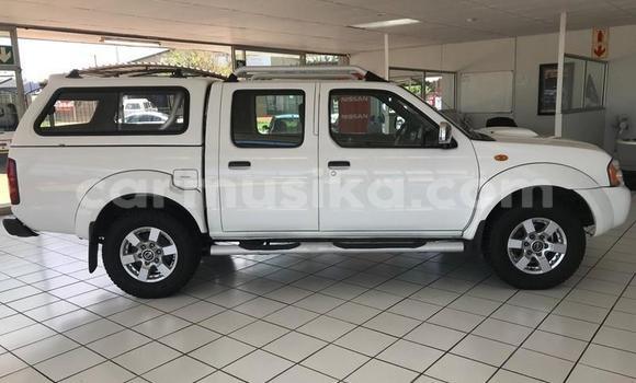 Tenga Tsaru Nissan NP 300 Chena Mota in Beitbridge in Matabeleland South Tenga Tsaru Nissan NP 300 Chena Mota in Beitbridge in Matabeleland South
