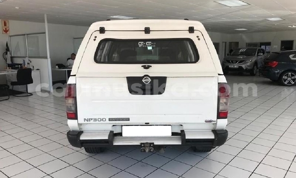 Tenga Tsaru Nissan NP 300 Chena Mota in Beitbridge in Matabeleland South Tenga Tsaru Nissan NP 300 Chena Mota in Beitbridge in Matabeleland South