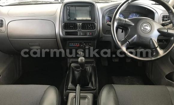 Tenga Tsaru Nissan NP 300 Chena Mota in Beitbridge in Matabeleland South Tenga Tsaru Nissan NP 300 Chena Mota in Beitbridge in Matabeleland South