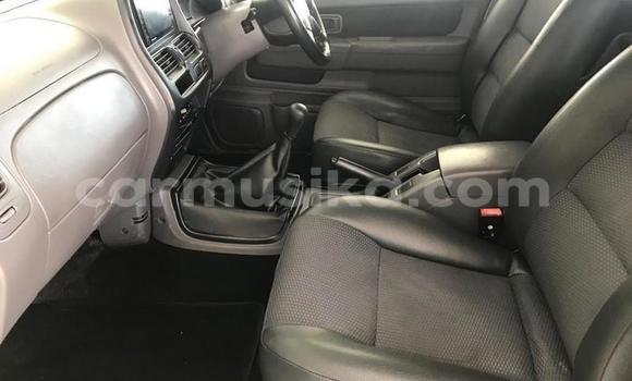 Tenga Tsaru Nissan NP 300 Chena Mota in Beitbridge in Matabeleland South Tenga Tsaru Nissan NP 300 Chena Mota in Beitbridge in Matabeleland South