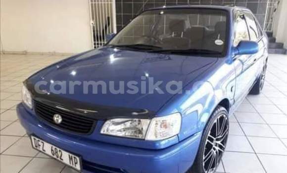 Nunua Ilio tumika Toyota Corolla Bluu Gari ndani ya Beitbridge nchini Matabeleland Kusini