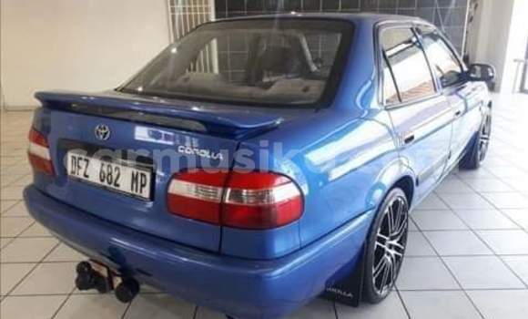 Acheter Occasion Voiture Toyota Corolla Bleu à Beitbridge, Matabeleland South Acheter Occasion Voiture Toyota Corolla Bleu à Beitbridge, Matabeleland South