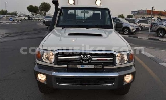 Tenga Tsaru Toyota Land Cruiser Chena Mota in Beitbridge in Matabeleland South
