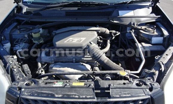 Tenga Tsaru Toyota RAV4 Nhema Mota in Beitbridge in Matabeleland South Tenga Tsaru Toyota RAV4 Nhema Mota in Beitbridge in Matabeleland South