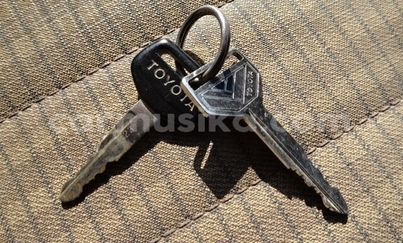 Buy Used Toyota Dyna Blue Truck in Beitbridge in Matabeleland South Buy Used Toyota Dyna Blue Truck in Beitbridge in Matabeleland South