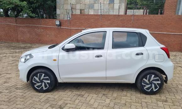 Nunua Ilio tumika Datsun GO Nyeupe Gari ndani ya Beitbridge nchini Matabeleland Kusini Nunua Ilio tumika Datsun GO Nyeupe Gari ndani ya Beitbridge nchini Matabeleland Kusini