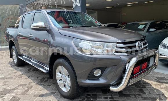 Buy Used Toyota Hilux Other Car in Harare in Harare Buy Used Toyota Hilux Other Car in Harare in Harare
