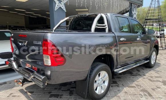 Buy Used Toyota Hilux Other Car in Harare in Harare Buy Used Toyota Hilux Other Car in Harare in Harare