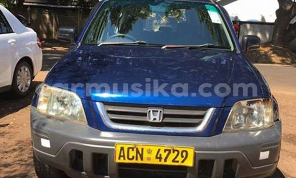 Tenga Tsaru Honda CR–V Bhuruu Mota in Alexandra Park in Harare Tenga Tsaru Honda CR–V Bhuruu Mota in Alexandra Park in Harare