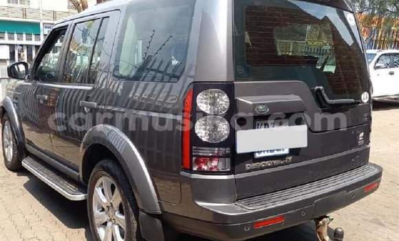 Tenga Tsaru Land Rover Discovery Sport Sirivha Mota in Beitbridge in Matabeleland South Tenga Tsaru Land Rover Discovery Sport Sirivha Mota in Beitbridge in Matabeleland South
