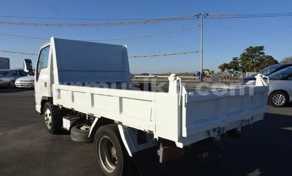 Buy Used Isuzu Elf White Truck in Beitbridge in Matabeleland South
