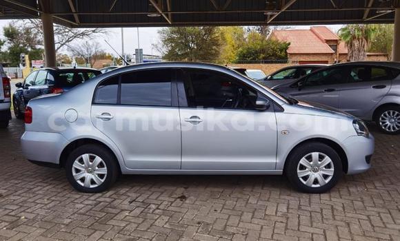 Buy Used Volkswagen Polo Silver Car in Beitbridge in Matabeleland South