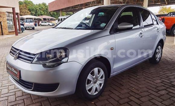 Buy Used Volkswagen Polo Silver Car in Beitbridge in Matabeleland South Buy Used Volkswagen Polo Silver Car in Beitbridge in Matabeleland South