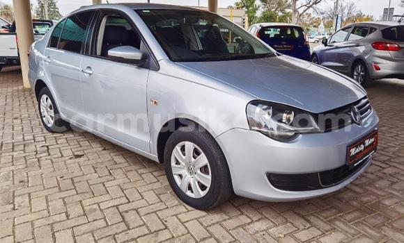 Buy Used Volkswagen Polo Silver Car in Beitbridge in Matabeleland South Buy Used Volkswagen Polo Silver Car in Beitbridge in Matabeleland South