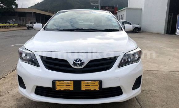 Buy Used Toyota Corolla Other Car in Beitbridge in Matabeleland South Buy Used Toyota Corolla Other Car in Beitbridge in Matabeleland South