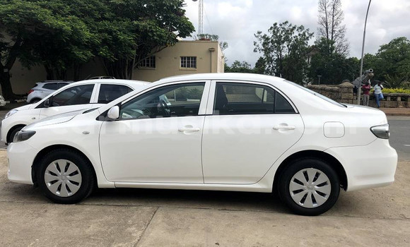 Buy Used Toyota Corolla Other Car in Beitbridge in Matabeleland South Buy Used Toyota Corolla Other Car in Beitbridge in Matabeleland South