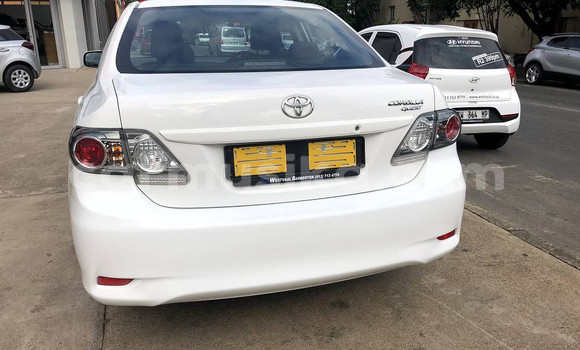 Buy Used Toyota Corolla Other Car in Beitbridge in Matabeleland South Buy Used Toyota Corolla Other Car in Beitbridge in Matabeleland South