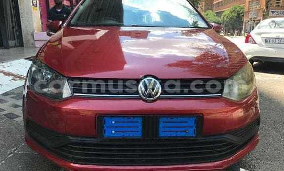 Acheter Occasion Voiture Volkswagen Polo Rouge à Beitbridge, Matabeleland South Acheter Occasion Voiture Volkswagen Polo Rouge à Beitbridge, Matabeleland South